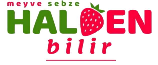 Halden Bilir Footer Logo